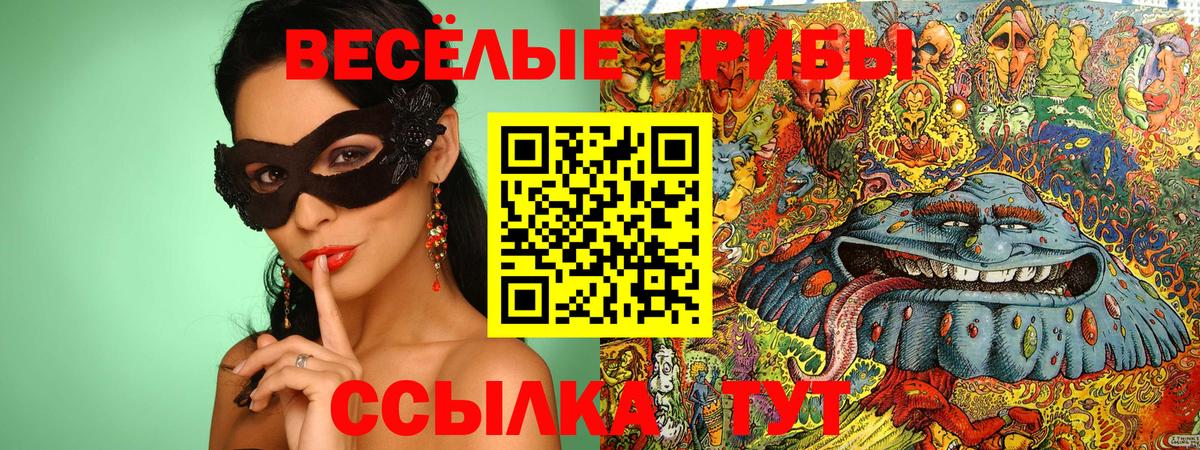 Ялуторовск  Галлюциногенные грибы Cubensis  Вход с VPN 