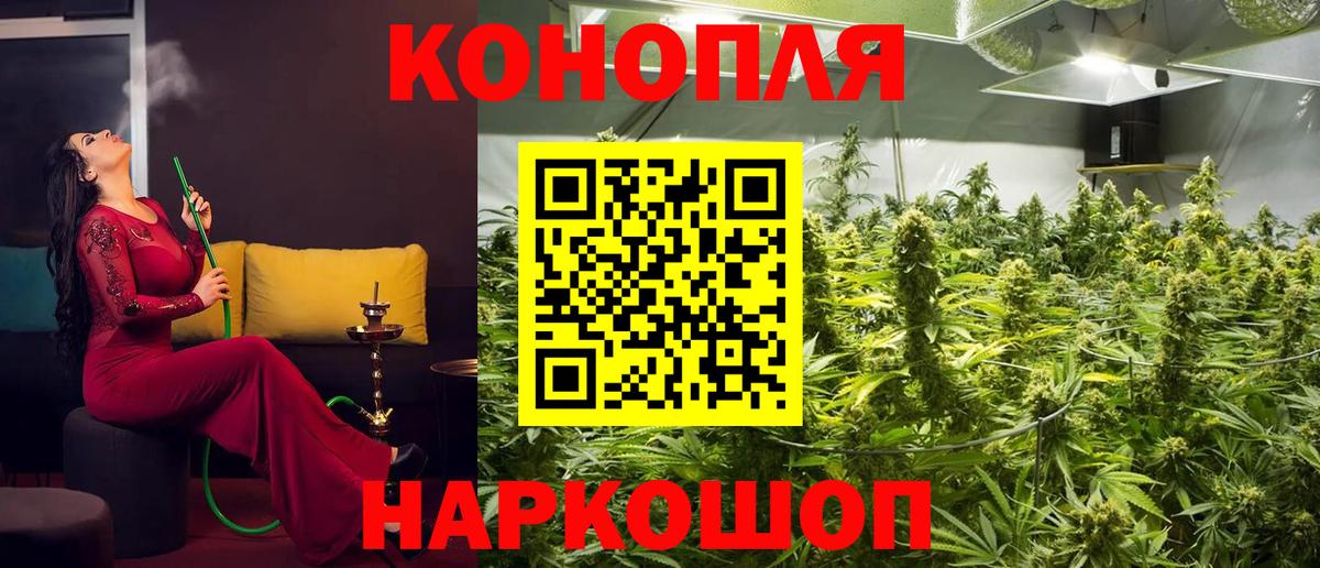 Бошки Шишки план Ялуторовск